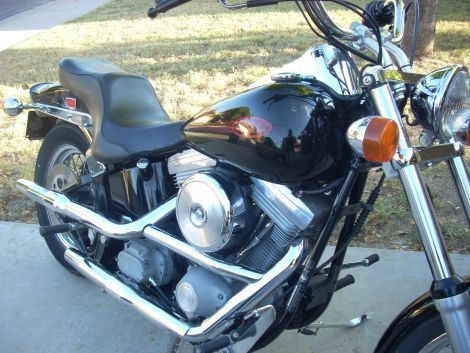 1999 Harley Davidson fxst softail