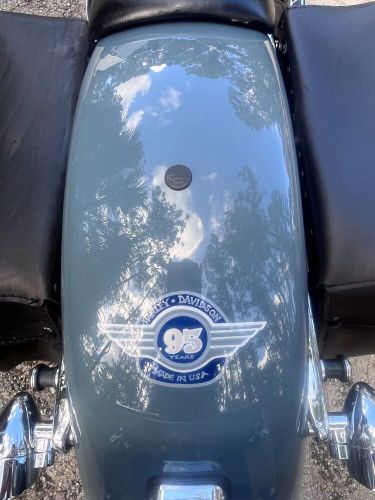 1998 Harley-Davidson Softail, US $10,000.00, image 10