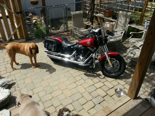 2013 Harley-Davidson Softail