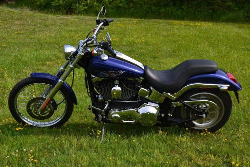 2006 harley-davidson softail