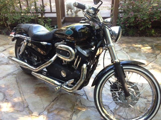 883 Harley Davidson Sporster