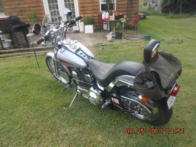 1999 harley-davidson softail custom other 