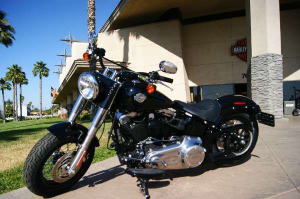 2013 Harley-Davidson FLS103