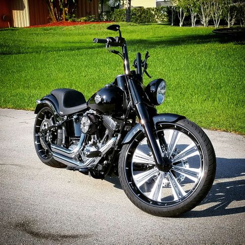 2015 Harley-Davidson Softail