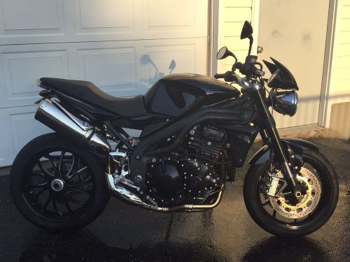 2009 Triumph Speed Triple