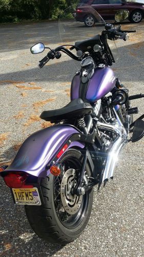 2010 harley-davidson softail