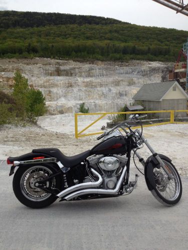 2005 Harley-Davidson Softail