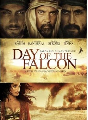 Day of the falcon (dvd used very good) ws