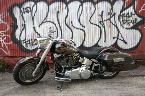 2007 harley-davidson softail