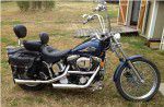 Used 1998 Harley-Davidson Softail Custom For Sale