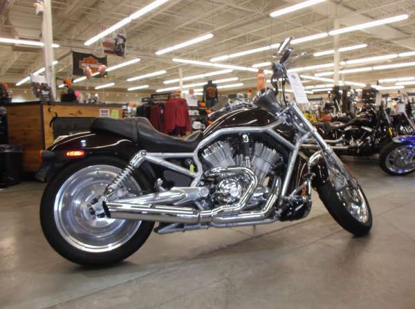 2005 harley-davidson vrsca v-rod