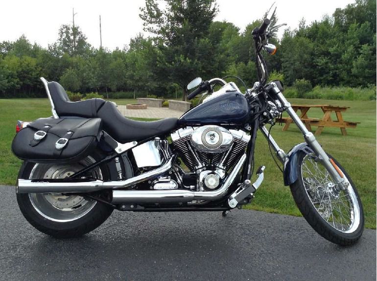 2008 harley-davidson softail custom 