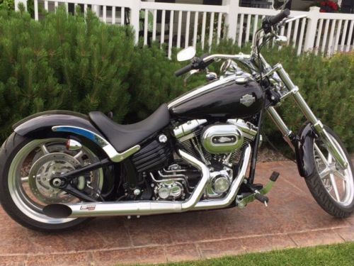 2009 Harley-Davidson Softail