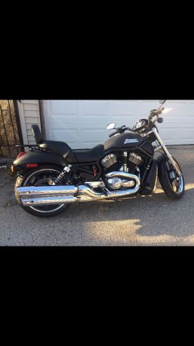 2006 harley-davidson vrsc