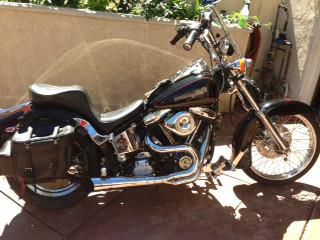 1991 Harley-Davidson Softail CUSTOM Custom 
