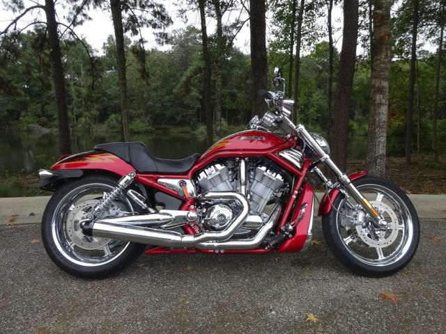 2005 Harley-Davidson VRSCSE SCREAMIN EAGLE V-ROD Cruiser 