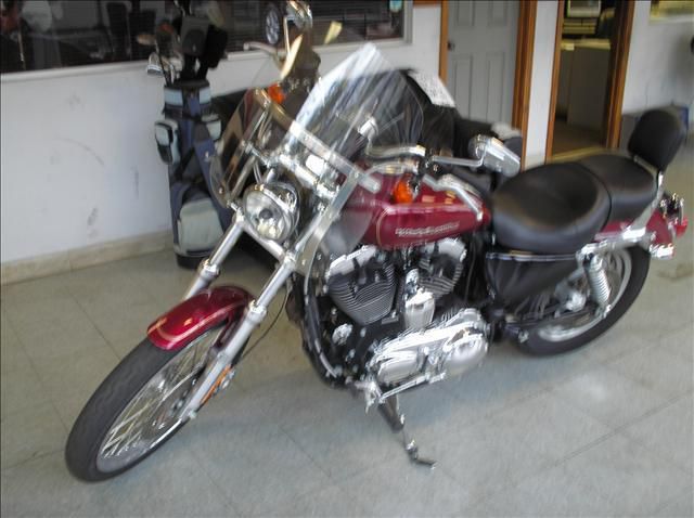 Used 2005 Harley Davidson 1200 Custom for sale.