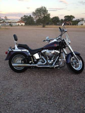 2004 harley-davidson softail