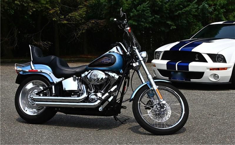 2007 fxstc harley softail custom