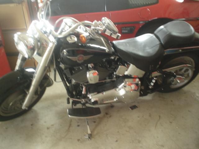 Harley davidson fat boy