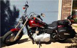 Used 2009 Harley-Davidson Dyna Street Bob FXDB For Sale