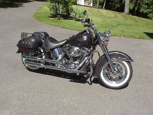2005 harley-davidson softail