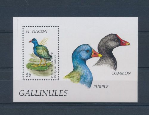 Le67064 st vincent  purple gallinule birds good sheet mnh
