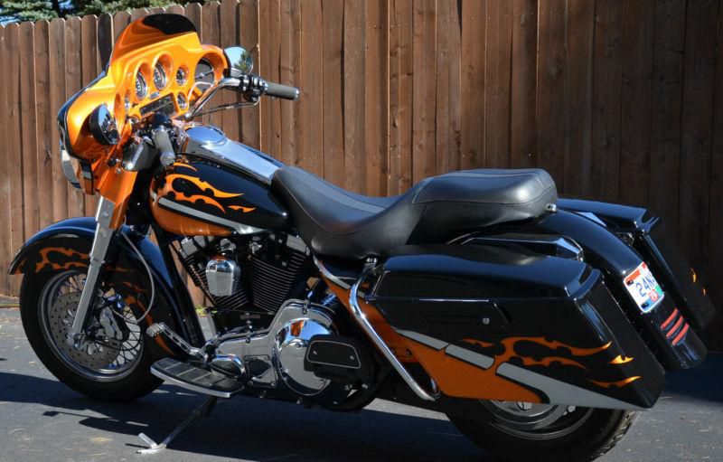 1996 Custom Harley Davidson Bagger