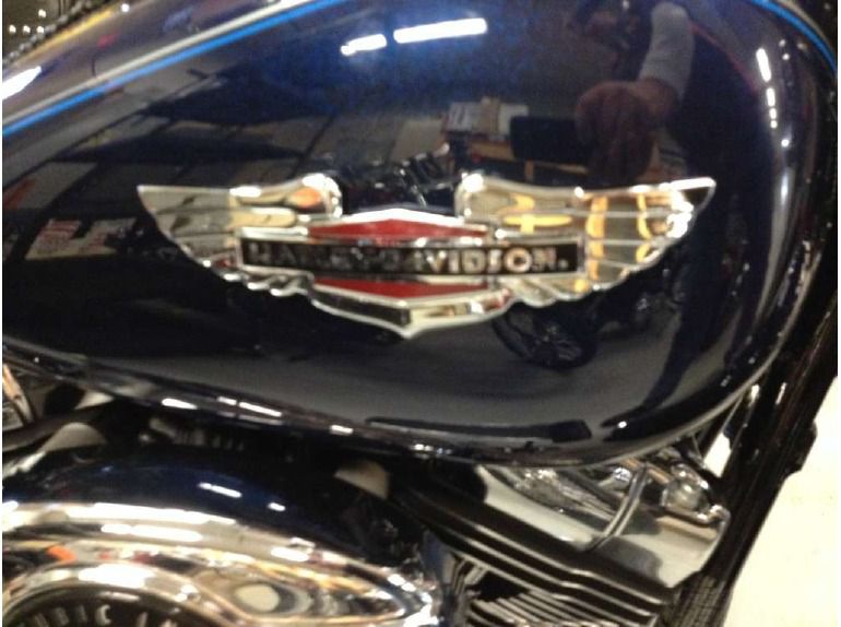 2012 Harley-Davidson FLSTN Softail Deluxe 