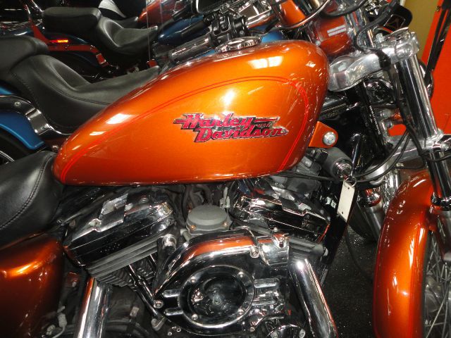 Used 2000 Harley Davidson XL 1200C for sale.