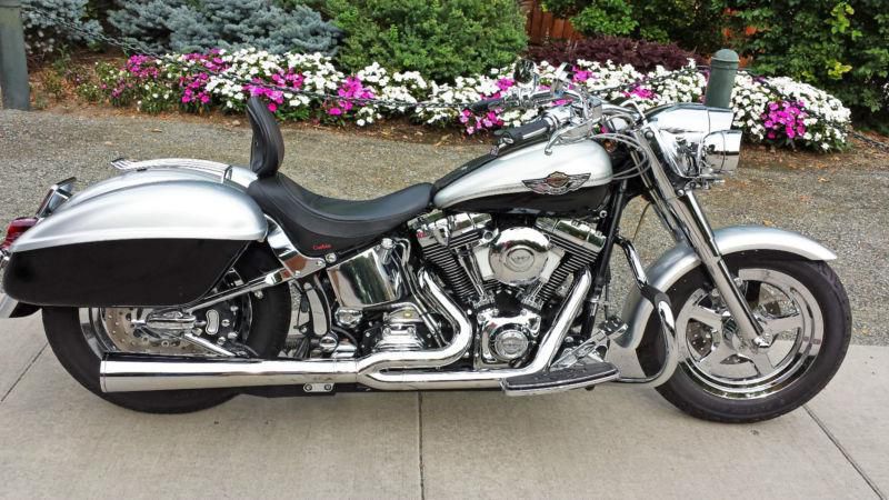 2003 harley davidson fat boy.  anniversarry model.  one-of-a-kind!.