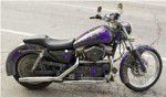 Used 2003 Harley-Davidson Sportster 883 Hugger XL883 For Sale
