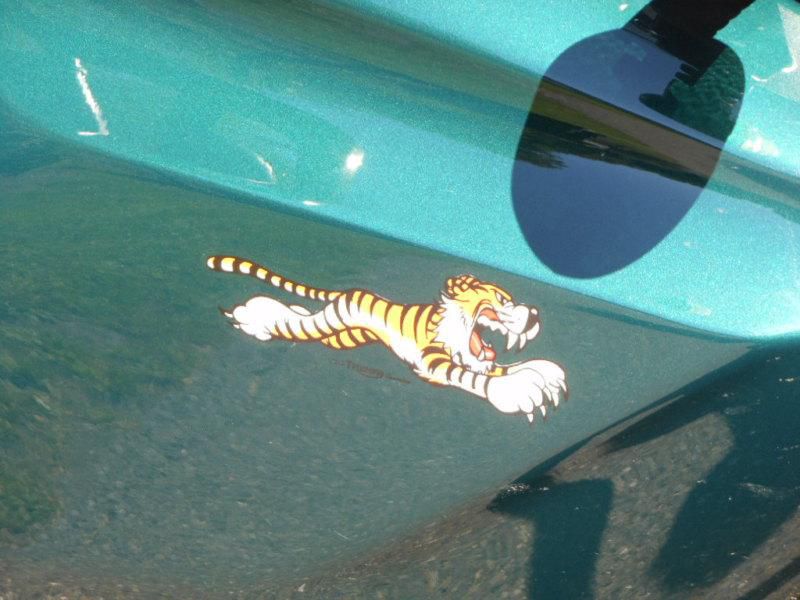 2007 Triumph Tiger 1050, US $1,500.00, image 8