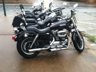 2006 harley-davidson xl 1200l sportster