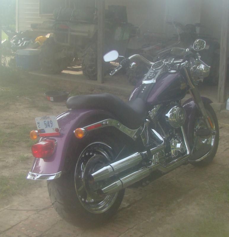 Harley davidson, fatboy, softail, motorcycle