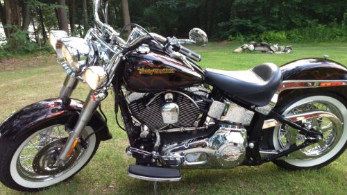 2006 harley-davidson softail