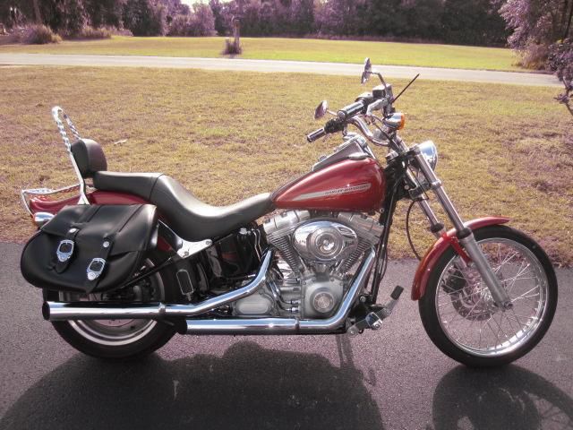 2007 harley-davidson fxst softail standard  cruiser 