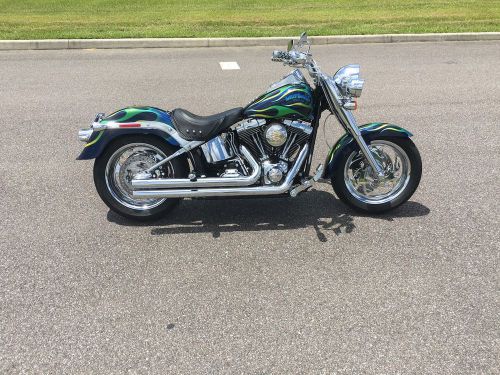 2007 harley-davidson softail