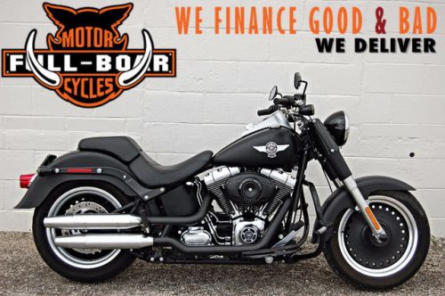 2010 Harley-Davidson Softail