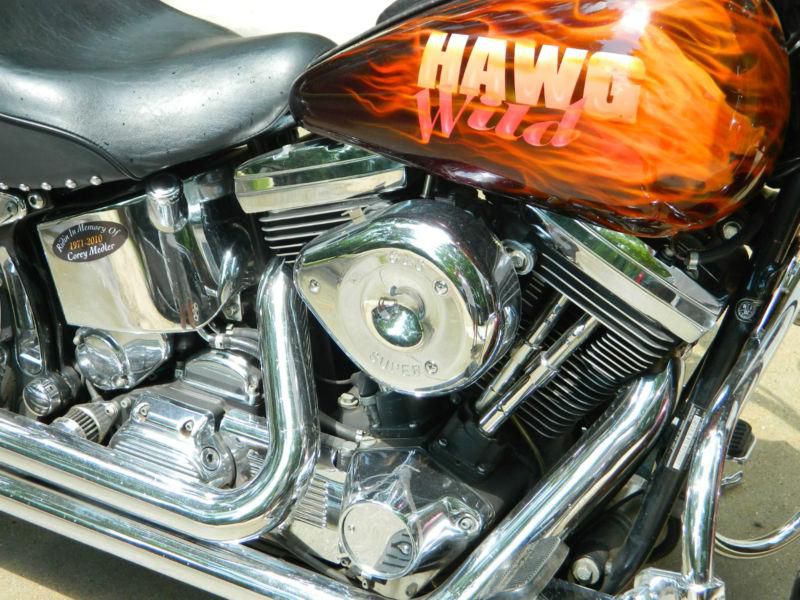 1990 Harley Davidson Heritage Softail Classic-Custom Paint & Loaded with Chrome, US $8,750.00, image 7