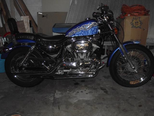 1993 HARLEY DAVIDSON SPORTSTER XL 883 1993 HD Sportster xl 883 for sale