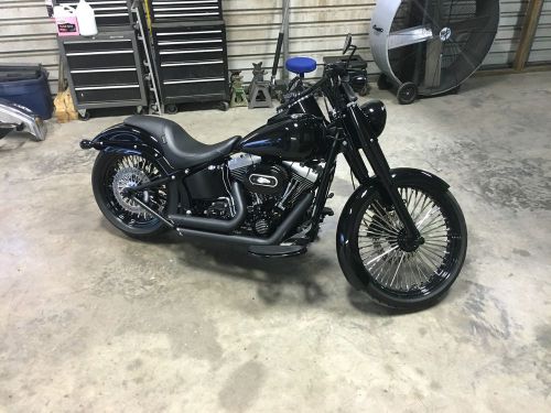 2010 Harley-Davidson Softail