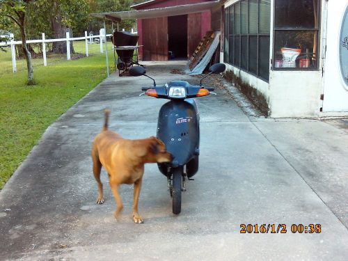 1989 Honda Elite E