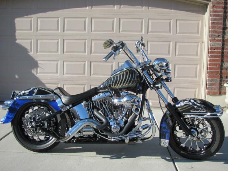 2006 harley-davidson heritage softail classic (customized)