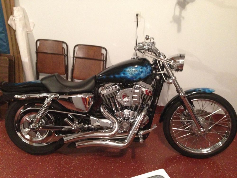 2006 Harley-Davidson Sportster 1200 CUSTOM Cruiser 
