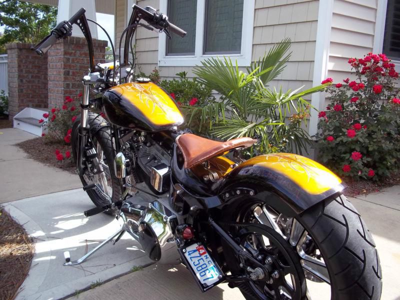 I have customized the bike with custom paint, and many roland sands components.