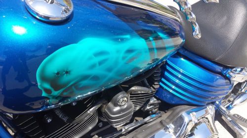 2008 Harley-Davidson Softail, US $18000, image 9